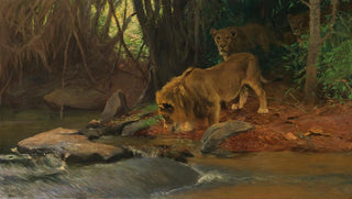 Wilhelm Kuhnert - Lwen am Urwaldbach.webp