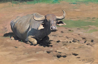 Wilhelm Kuhnert - Resting Buffalo.webp