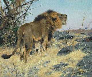 Lion rugissant - Wilhelm Kuhnert — näkymä teoksesta