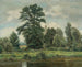 Marais-landskap - Wilhelm Legler — näkymä teoksesta