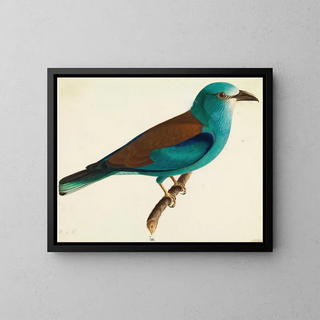 Wilhelm von Wright - The European Roller.webp
