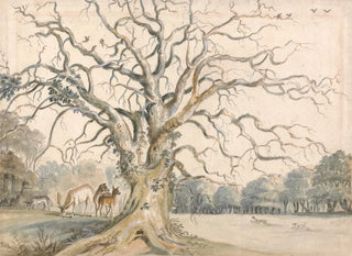 William Byron - View of a Park with Deer.webp