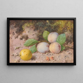 William Cruickshank - Plums and Apple.webp
