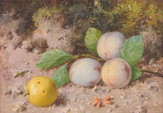 William Cruickshank - Plums and Apple.webp