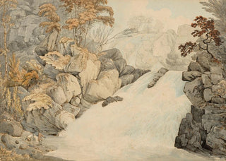 William Day - Dolmelynllyn Falls near Dolgellau Wales.webp