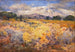 Longs Peak - Colorado - William Henry Holmes — näkymä teoksesta