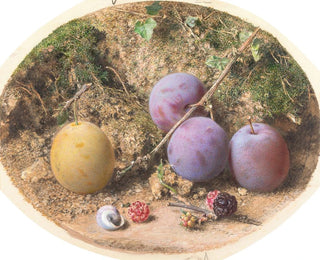 William Henry Hunt - Plums and Mulberries.webp