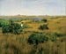Kesä Shinnecock Hillsissä - William Merritt Chase — näkymä teoksesta