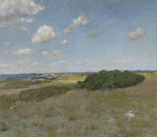 Valo ja varjo Shinnecock Hillsissä - William Merritt Chase — näkymä teoksesta