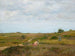 Sans titre, Shinnecock Hills, Long Island - William Merritt Chase — näkymä teoksesta
