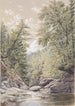 Catskill Clove Palingsvillen läheisyydessä - William Rickarby Miller — näkymä teoksesta