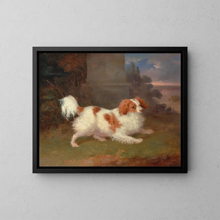William Webb - A Blenheim Spaniel.webp
