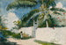 Un jardin à Nassau - Winslow Homer — näkymä teoksesta