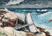 Myrskyn jälkeen Bahamalla - Winslow Homer — näkymä teoksesta