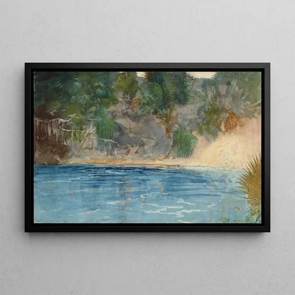 Floridan sininen lähde - Winslow Homer — kehystetty taideteos seinällä