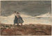 Vaara - Winslow Homer — näkymä teoksesta
