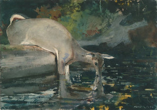 Winslow Homer - Deer Drinking.webp