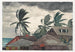 Myrsky Bahamalla - Winslow Homer — näkymä teoksesta