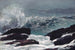Côte du Maine - Winslow Homer — näkymä teoksesta