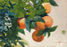 Oranssit oksalla - Winslow Homer — näkymä teoksesta