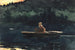 L'essor - Winslow Homer — näkymä teoksesta