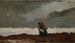 Kaksi hahmoa meren äärellä - Winslow Homer — näkymä teoksesta