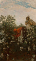 Coton des hautes terres - Winslow Homer — näkymä teoksesta