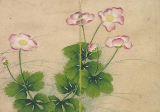 Zhang Ruoai - Mallow flowers.webp