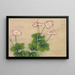 Zhang Ruoai - Mallow flowers.webp