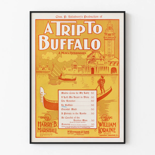a-trip-to-buffalo