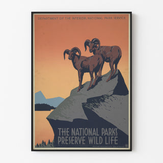 Vintage-juliste National Parks Preserve Wild Life, ohuessa kehyksessä vaalealla seinällä.
