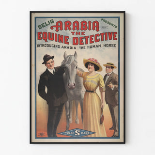 arabia-the-equine-detective