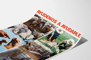 ayudenos-a-ayudarle