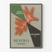 Vintage-lääketieteellinen juliste BéNerva Roche - Retro-seinäkoriste