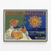 Vintagejuliste Maxéville-oluesta - C'est toujours la meilleure — kehystetty taideteos seinällä