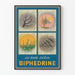 Vintage juliste BIPHEDRINE vuodenkiertokalenteri
