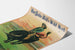 Vintage Juliste Buffalo Billin Villin Lännen - Villisika