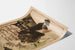 Vintagejuliste Bretagnessa - Merellinen koristeellinen litografia