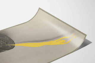dinitra-5