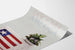 Vintage juliste Discover America Worldnet televisio lippu