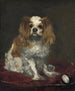King Charlesin epagneul - Édouard Manet — näkymä teoksesta