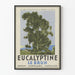 Vintagejuliste Eucalyptine Le Brun - Luontokuvakehys seinäkoristelu