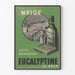 Vintagejuliste Eucalyptine Le Brun seinäkoristelu retro