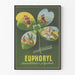 Vintage Juliste Euphoryl Desensibilisointi Monikäyttöinen