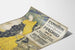 Vintage Juliste Madridin kansainvälisestä näyttelystä 1893–94