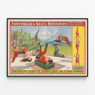 forepaugh-sells-brothers-great-shows-consolidated-carl-damann-family-of-famous-male-and-female-acrobats