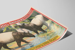 forepaugh-sells-brothers-great-shows-consolidated-the-only-living-pair-of-asiatic-saddle-back-tapirs