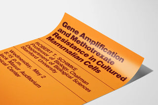 gene-amplification-and-methotrexate-resistance-in-cultured-mammalian-cells