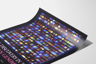 gene-discovery-in-the-human-genome