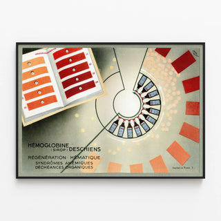 hemoglobine-deschiens